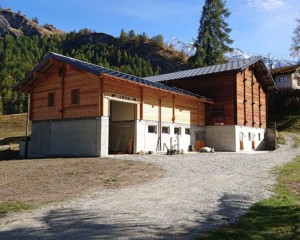 Construction rurale Follonier